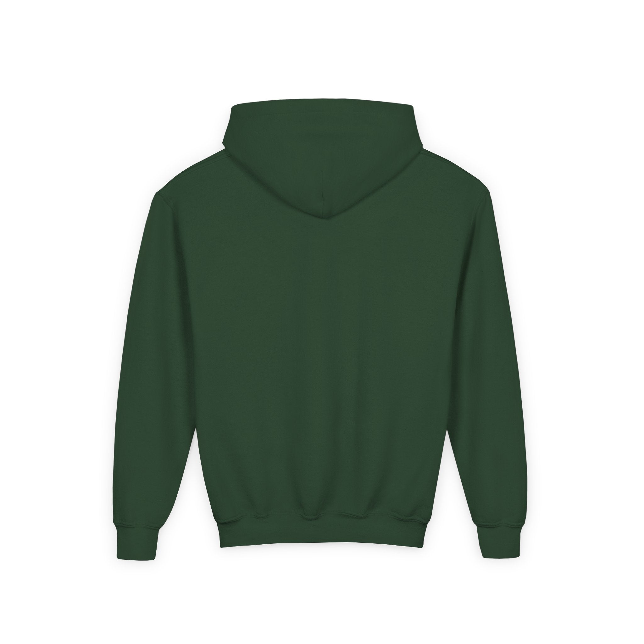 Colorful Dino Youth Hoodie – Fun and Playful Sweatshirt for Kids