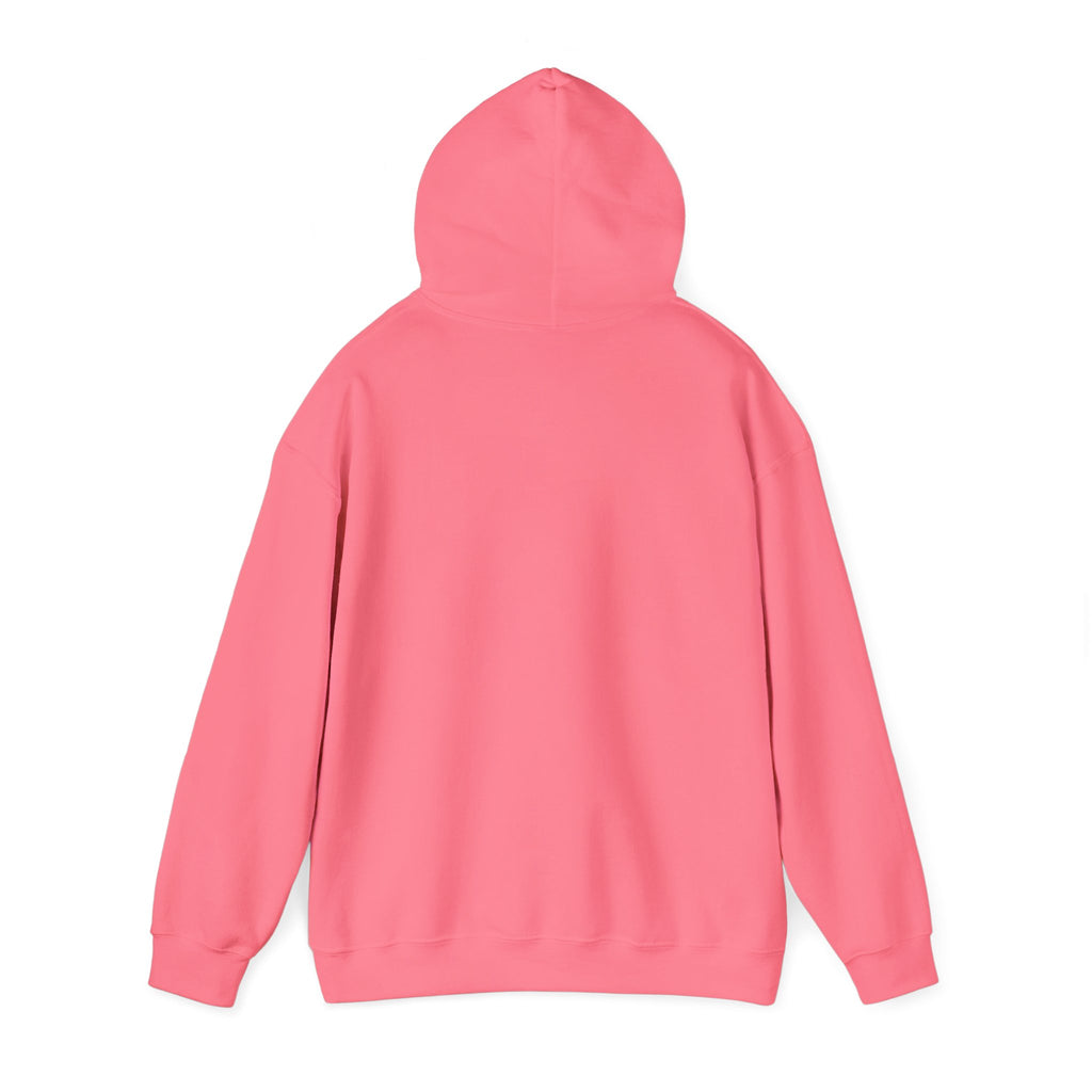 Colourful Paw Print Hoodie for Animal Lovers