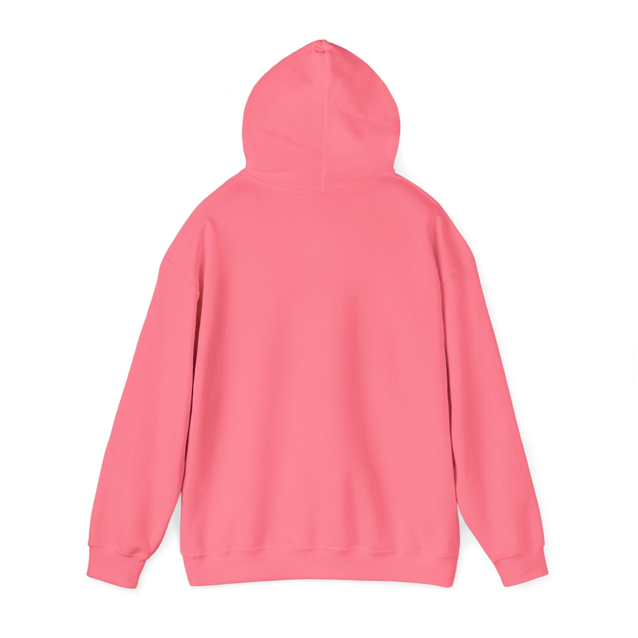 Colourful Paw Print Hoodie for Animal Lovers