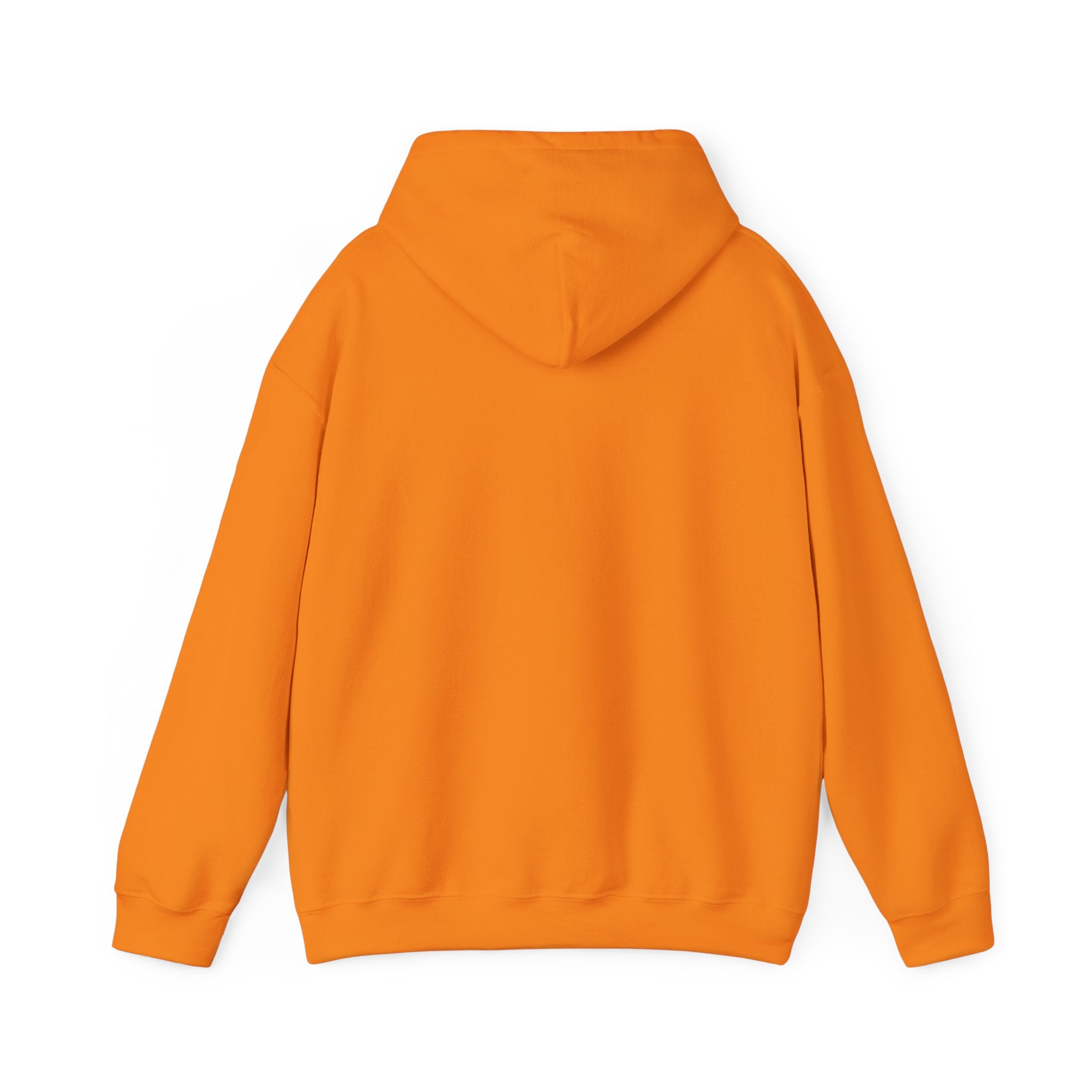 Colourful Paw Print Hoodie for Animal Lovers