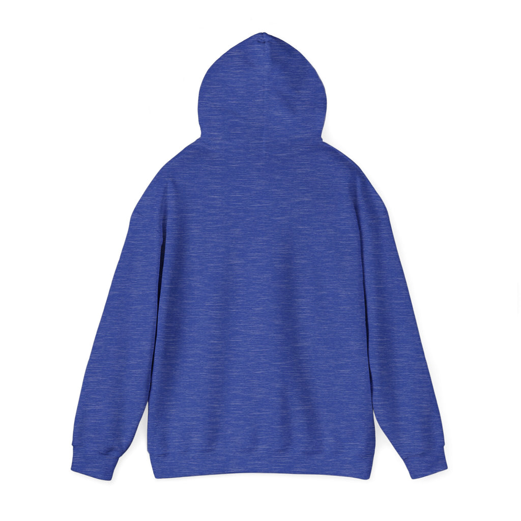 Colourful Paw Print Hoodie for Animal Lovers