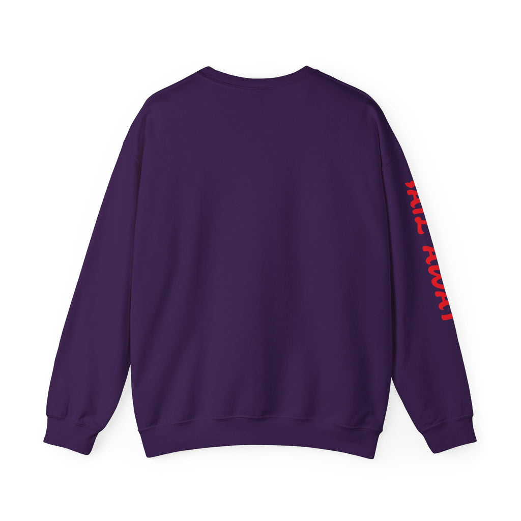Colourful Compass Unisex Heavy Blend™ Crewneck Sweatshirt