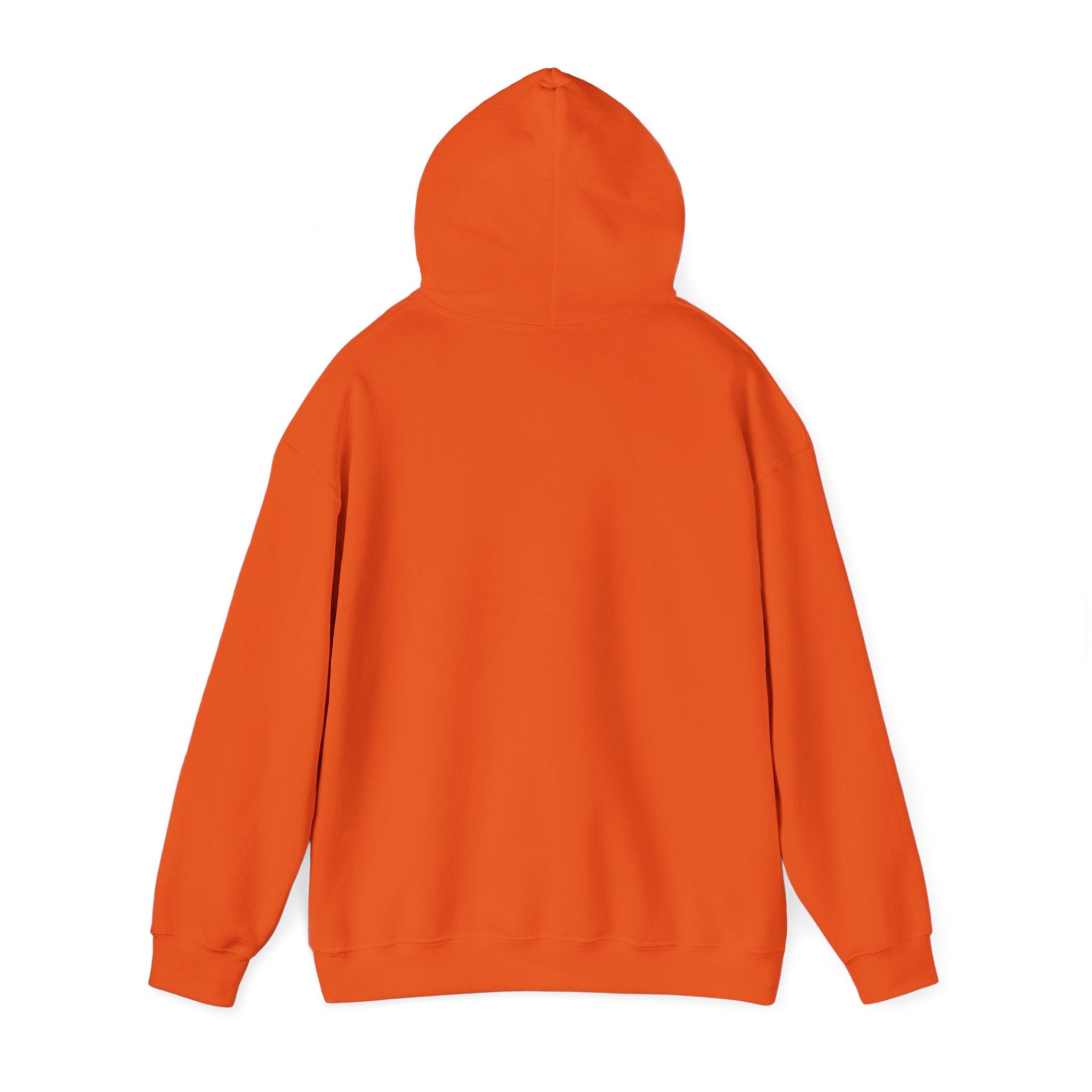 Colourful Paw Print Hoodie for Animal Lovers