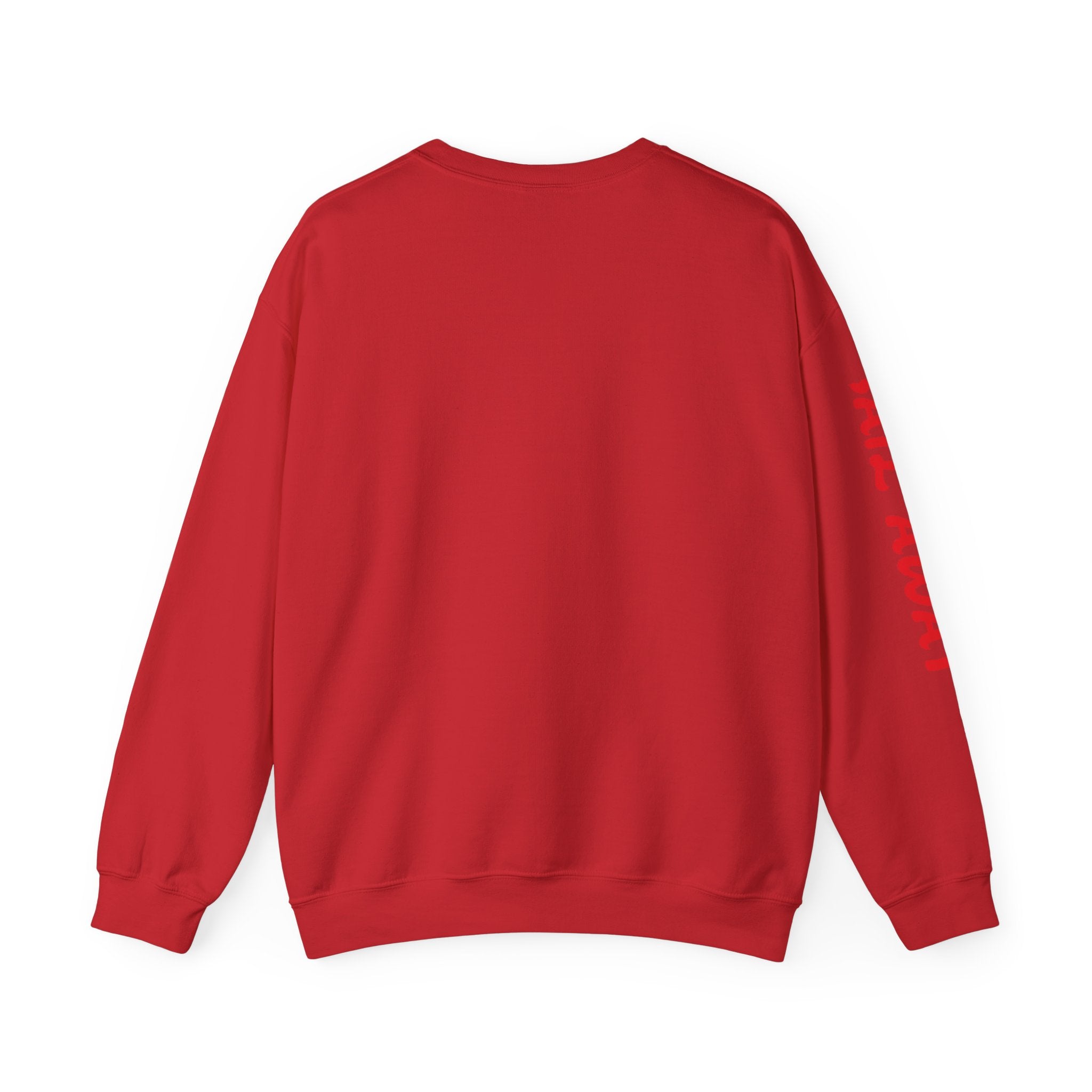 Colourful Compass Unisex Heavy Blend™ Crewneck Sweatshirt