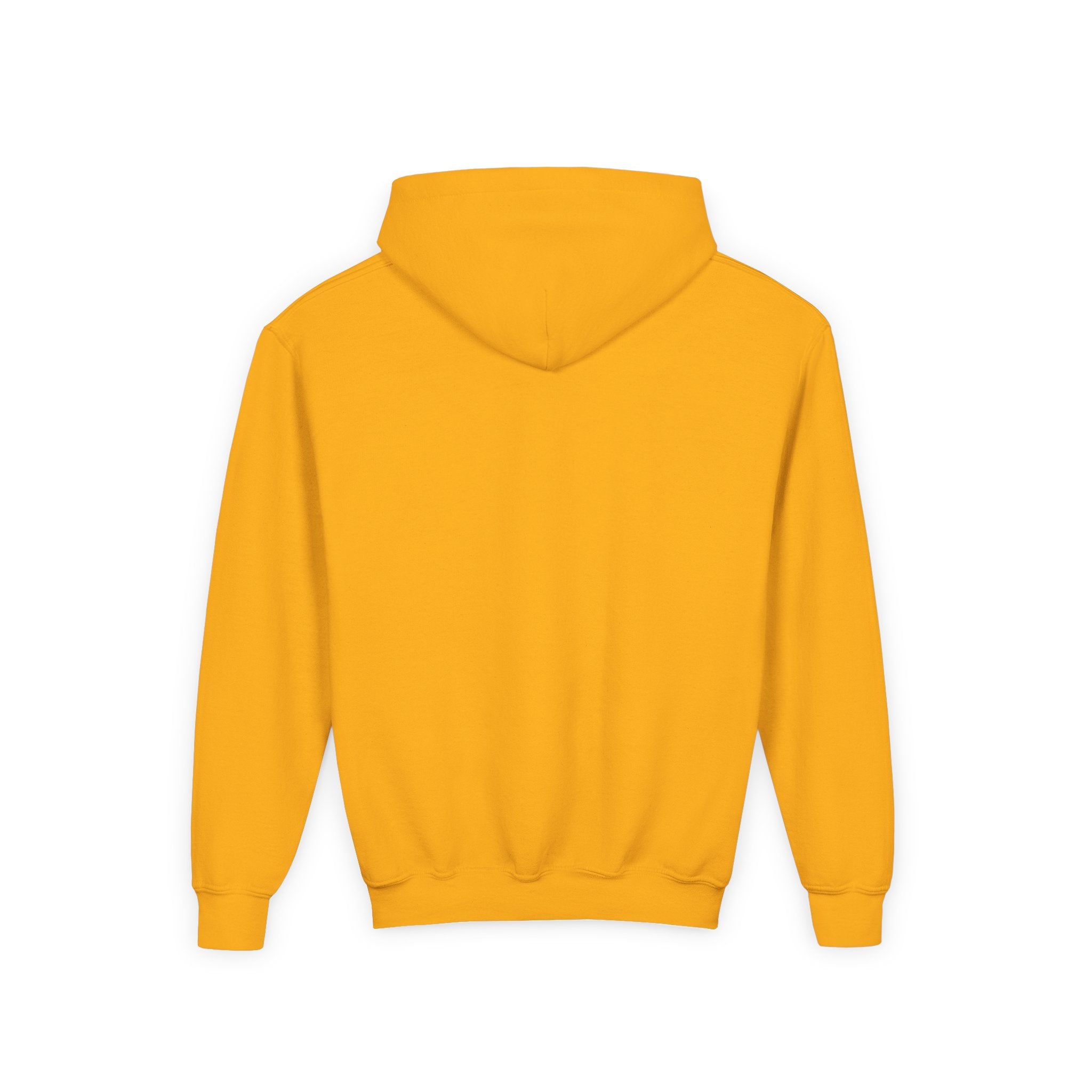Colorful Dino Youth Hoodie – Fun and Playful Sweatshirt for Kids