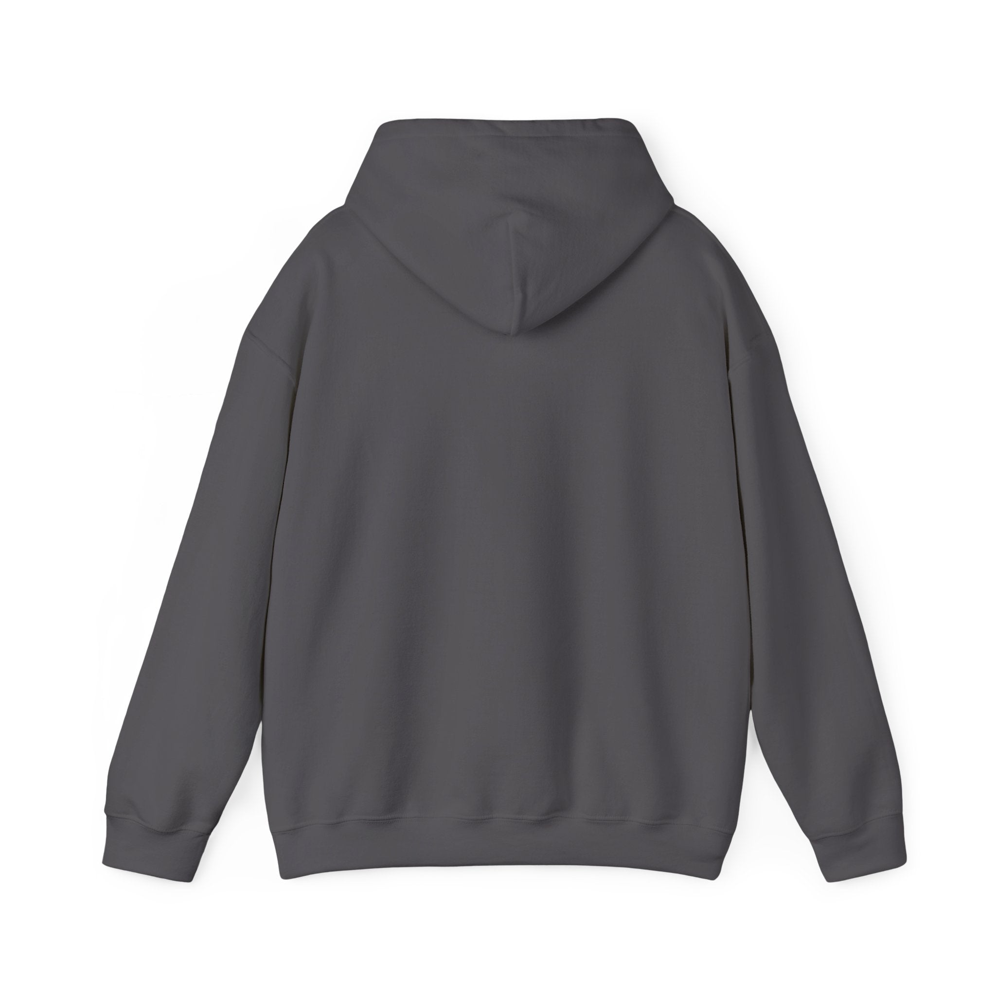 Colourful Paw Print Hoodie for Animal Lovers