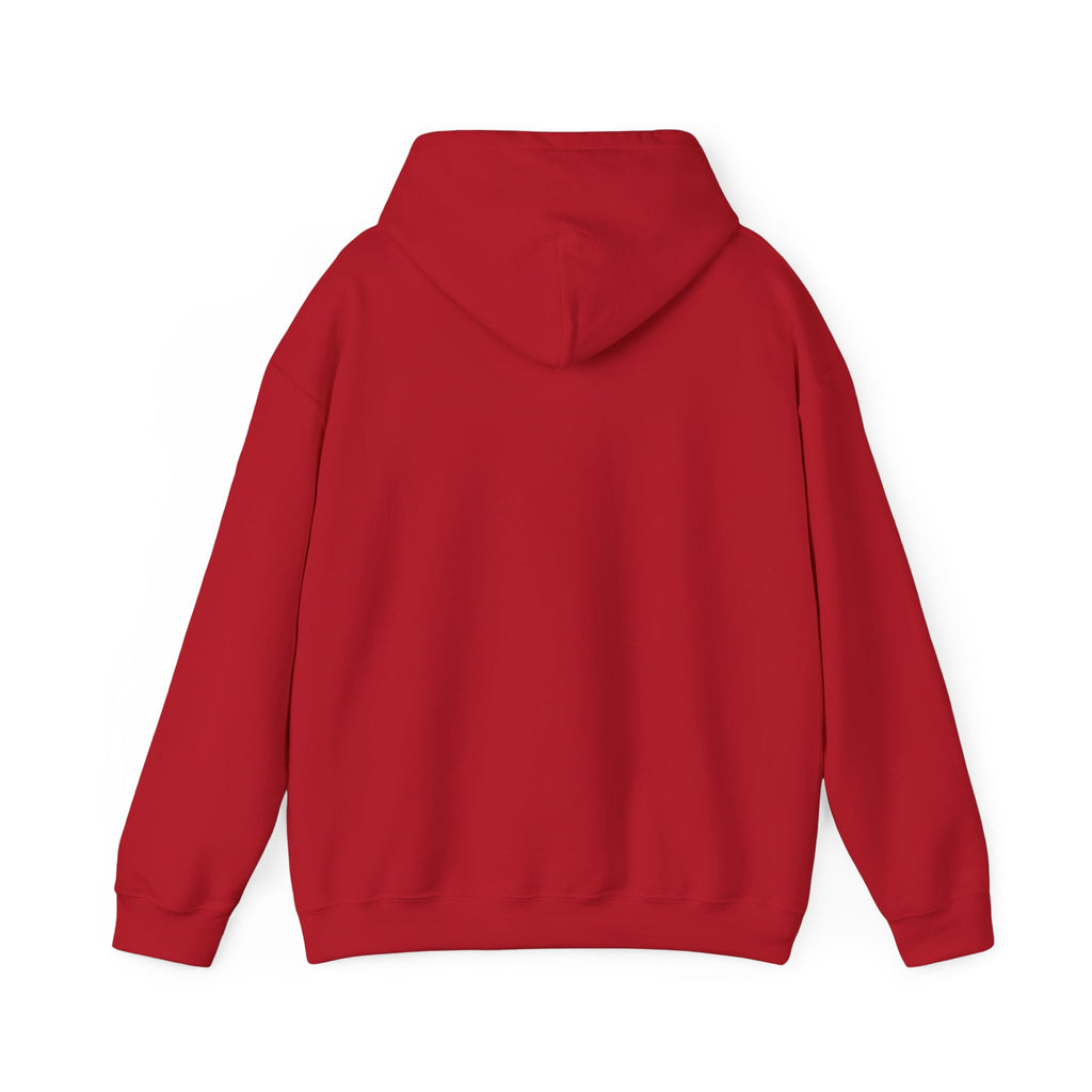 Colourful Paw Print Hoodie for Animal Lovers