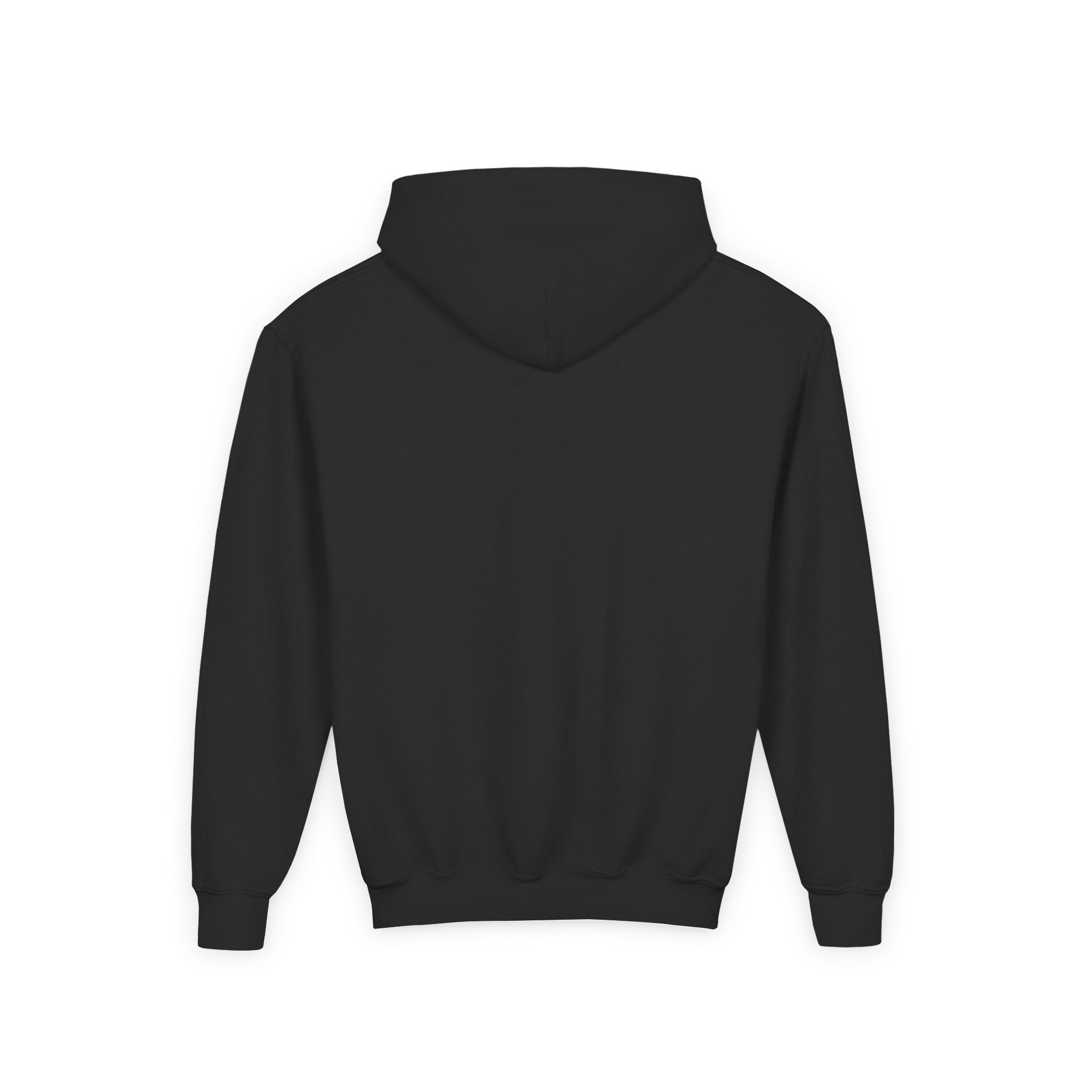 Colorful Dino Youth Hoodie – Fun and Playful Sweatshirt for Kids