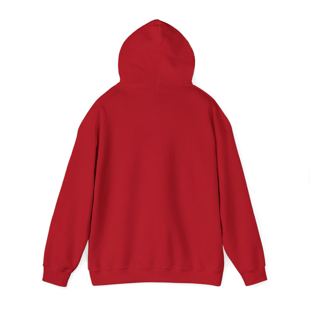 Colourful Paw Print Hoodie for Animal Lovers