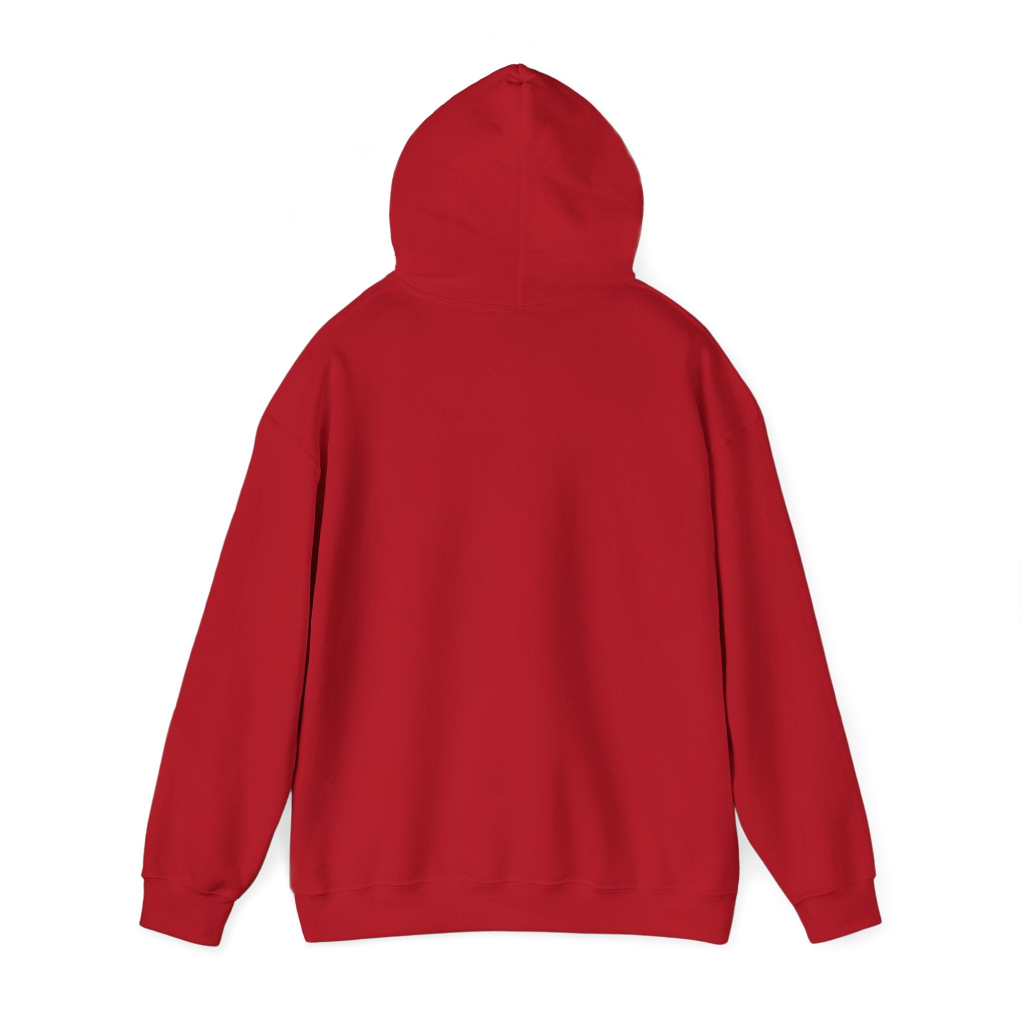 Colourful Paw Print Hoodie for Animal Lovers