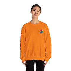 Colourful Compass Unisex Heavy Blend™ Crewneck Sweatshirt