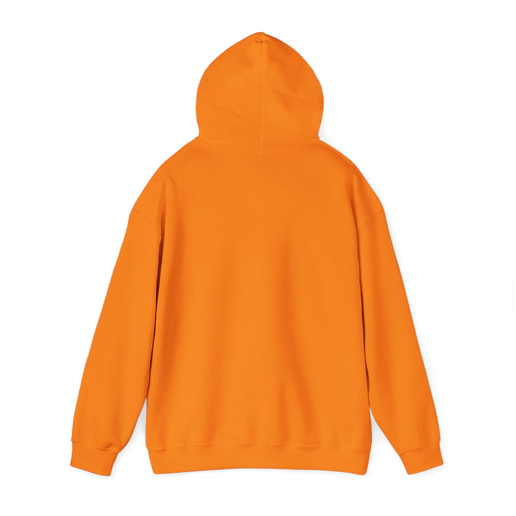 Colourful Paw Print Hoodie for Animal Lovers