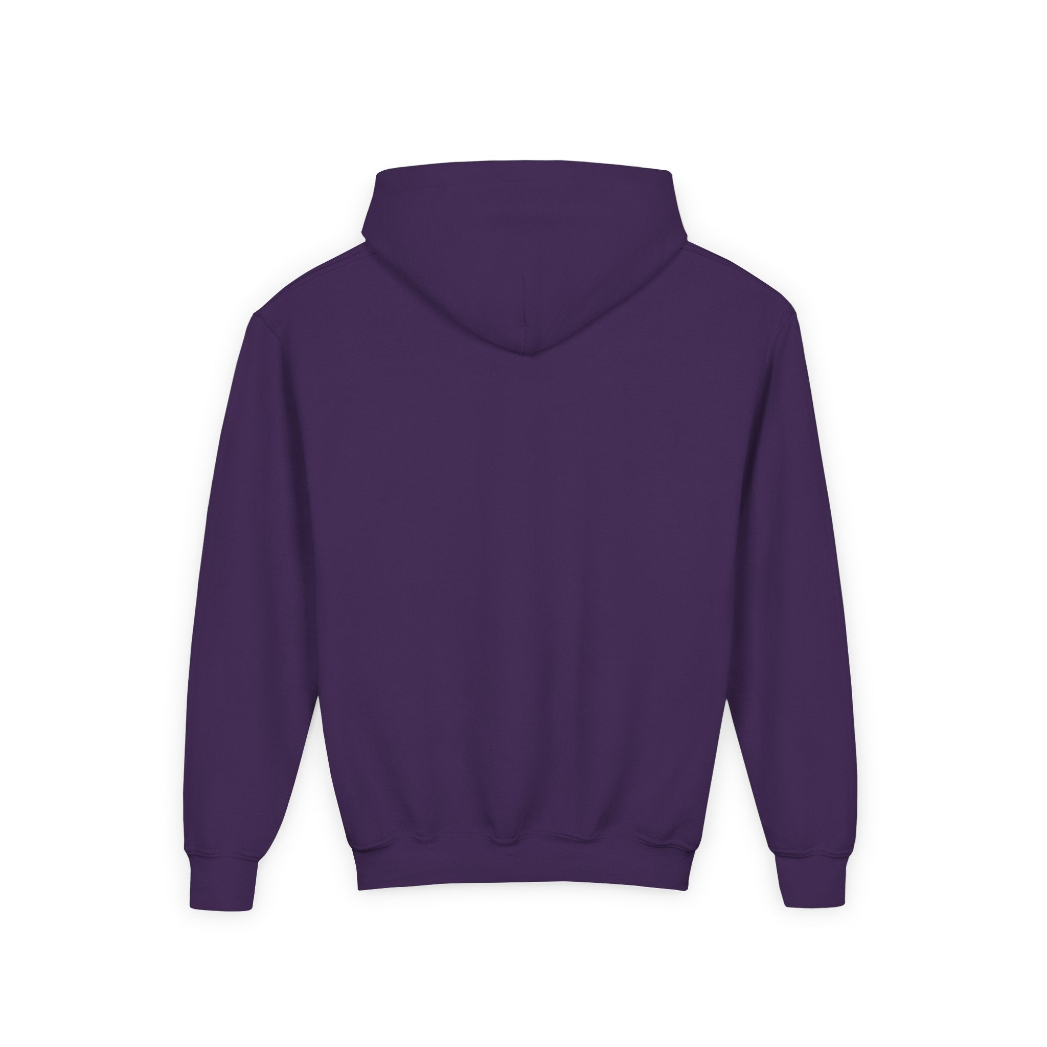 Colorful Dino Youth Hoodie – Fun and Playful Sweatshirt for Kids